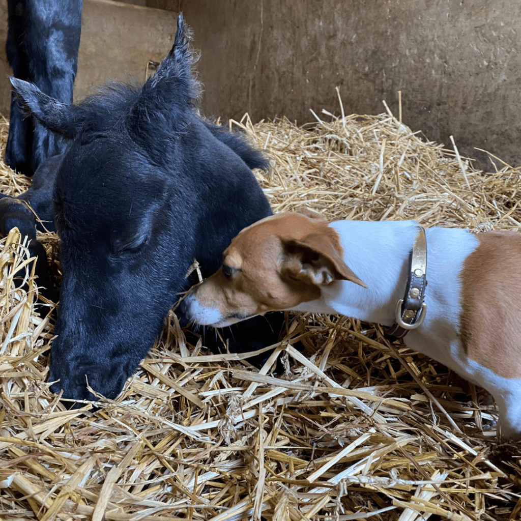 Victorie ter Leybroeck - 1 dag oud