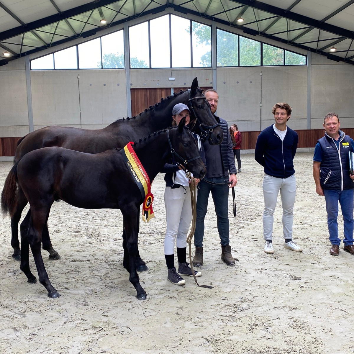 H-Ekwador nakomelingen aanwezig op de veulenkeuring&nbsp;eventing