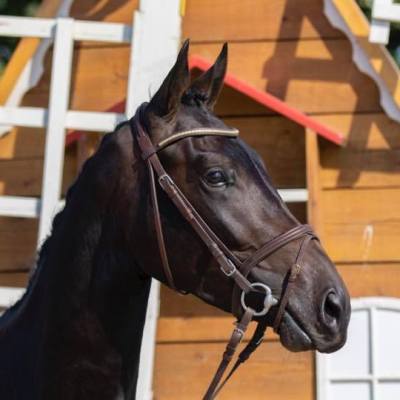 Lewis ter Leybroeck goedgekeurd bij&nbsp;AES