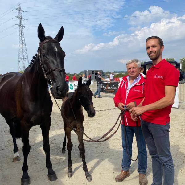 Winnipeg ter Leybroeck&nbsp;verkocht